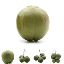 Noix de coco artificielle noix de coco artificielle d��coration de ferme faux as