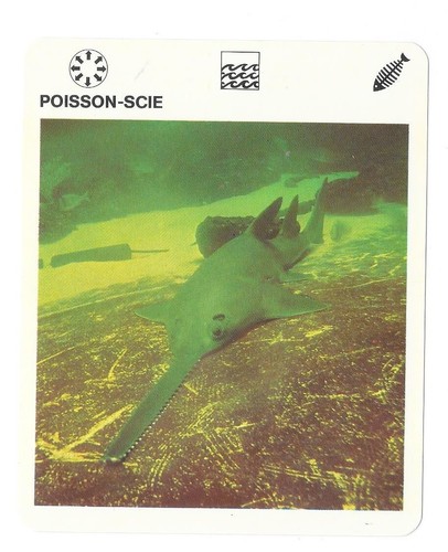 Fiche livre paris - fiche, le