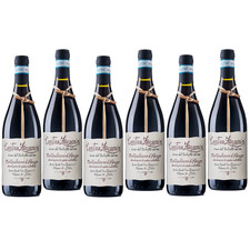 Zaccagnini Tralcetto