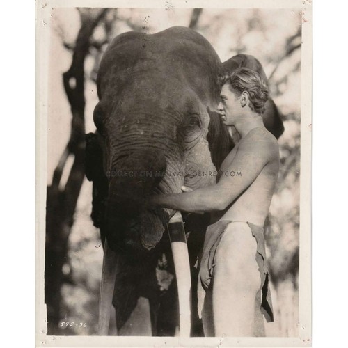Tarzan homme singe - l'homme, photo