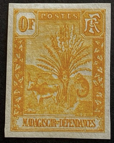 Madagascar zébu ravenala 5 - -,