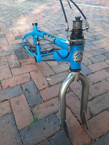 Mongoose ravage frame - 06,