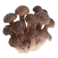  Ornement De Champignon