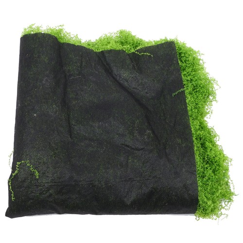 Tapis mousse vegetale - de,