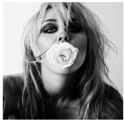 Miley cyrus bass - cyrus, persuades