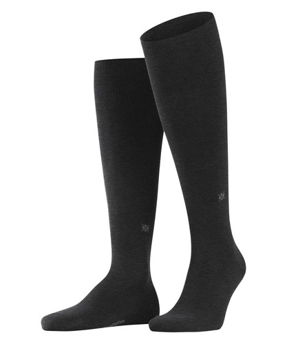 Dublin coton unies 1 - m, kh