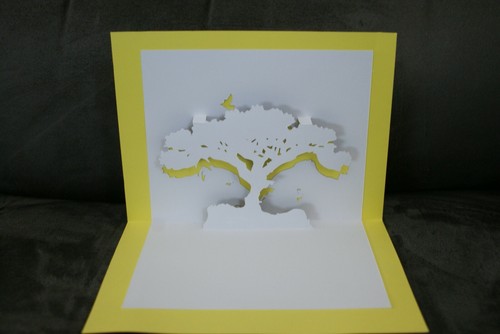 Carte trompe oeil arbre - carte,