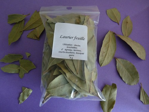 Laurier feuilles daube - laurier,