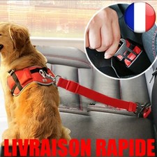 CEINTURE SÉCURITÉ Réglable Chien Chat Harnais Voiture Anti-Chute Voyage Solide