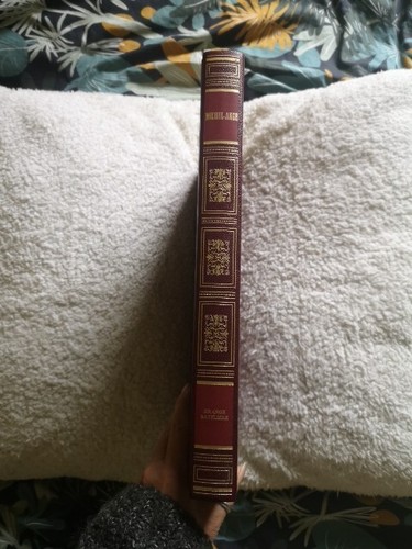 Livre michel ange de - michel,