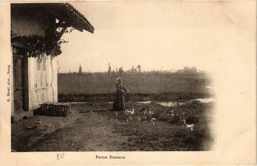 Cpa ferme bressane - cpa,
