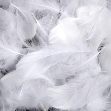 600pcs Plumes Blanc - Naturel