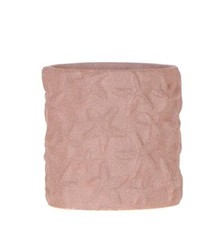 Kolibri Home Étoile Poisson