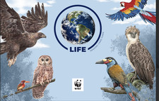 Life TCG BIRDS : FULL  ART - Look pictures and choose your card(s)