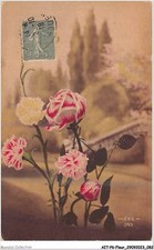 AITP6-FLEUR-0555 - pivoines