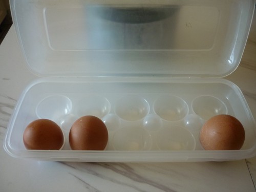 Boîte oeufs - boîte, a