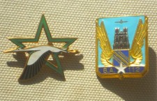 Insignes Base Aerienne 705