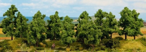 Noch arbres hauteur 14 à - noch,