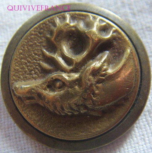 B1566 hunting button - hunting,