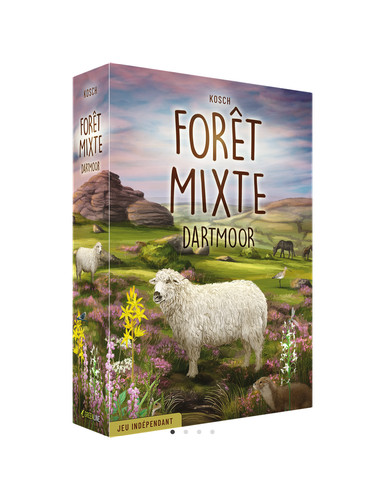 Forêt mixte dartmoor - forêt, fr