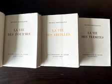 Vie des fourmis abeilles