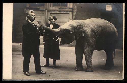 Carte postale photo paire - , avec