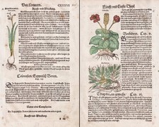 Colocasia Meerzwiebel Bocksdorn Livre D'Herbes Herbal Botanique Lonitzer 1564