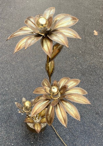 1970 plante éclairante en - plante,