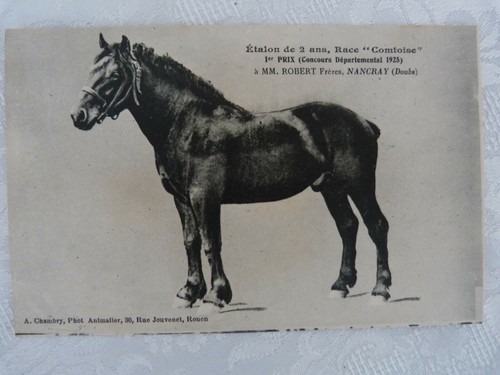 Carte postale ancienne old