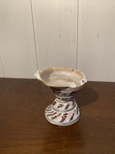 Souvenir tahiti coquillage - souvenir,