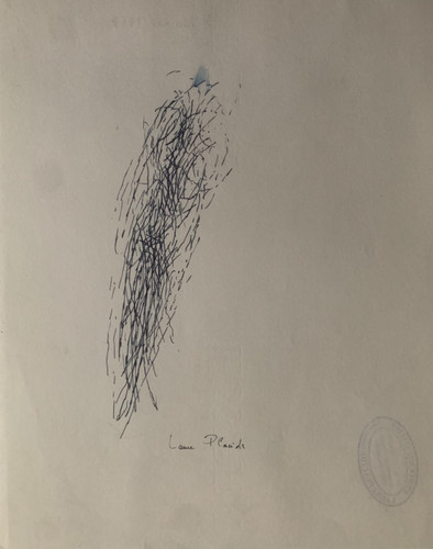 Laure placide - laure,