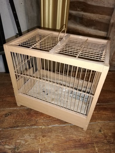 Cage oiseaux ancienne - oiseaux, ancienne/cage