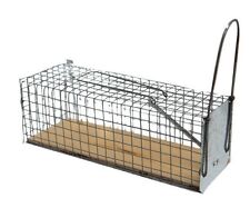 NASSE RAT 1 ENTREE  en bois grillage galvanisé 28 x 10 x 10 cm LUCIFER