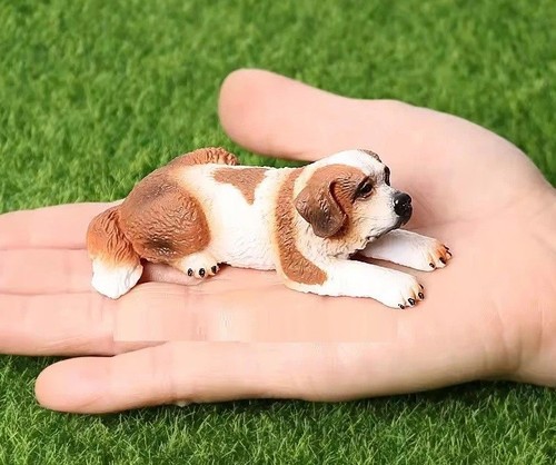 Saint bernard dog wild animal - dog,