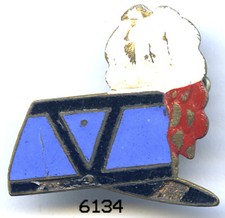 6134 - INSIGNE SCHAKO ST CYR