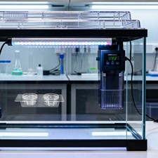  Gamelle pour reptiles 