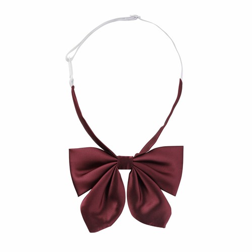 Noeud papillon pré - pré-noué, pour