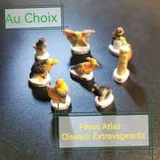 Au Choix Fèves Atlas / Oiseaux Extravageants 2006