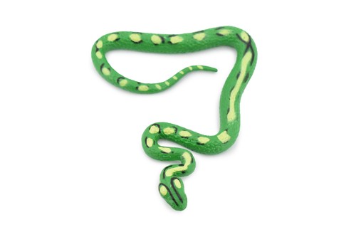 Snake guatemalan palm - snake,, viper