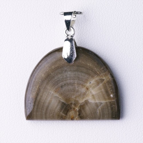 Bélemnite 44 ct - ct,