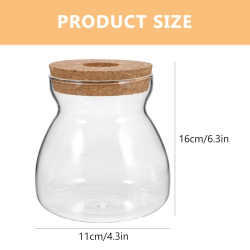 Vase propagation jarre - de,