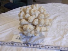 VERY BEAUTIFUL ANTIQUE WHITE