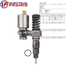 BEBE2A01001 Injecteur Delphi