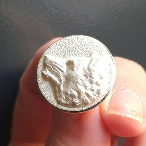 E05n09 tête loup blanc - de,