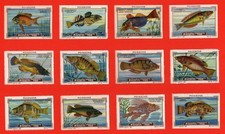 POSTER STAMPS FISH ACUATIC