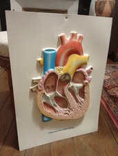 Affiche Plastique