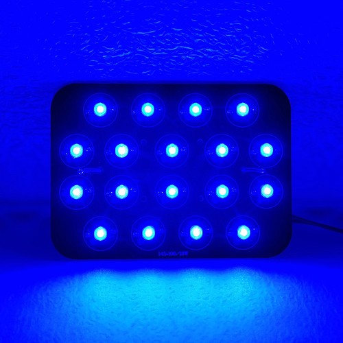 18w 450 455nm royal blue - 18w, led