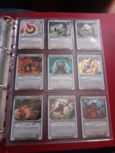 Pages cartes wakfu - pages,
