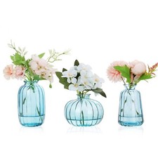 Vases en Verre Lot de 3 Petits