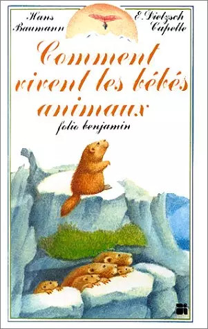 Comment vivent les bébés